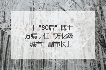 “80后”博士方靖，任“万亿级城市”副市长