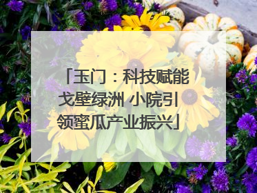 玉门：科技赋能戈壁绿洲 小院引领蜜瓜产业振兴