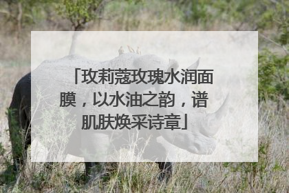 玫莉蔻玫瑰水润面膜，以水油之韵，谱肌肤焕采诗章