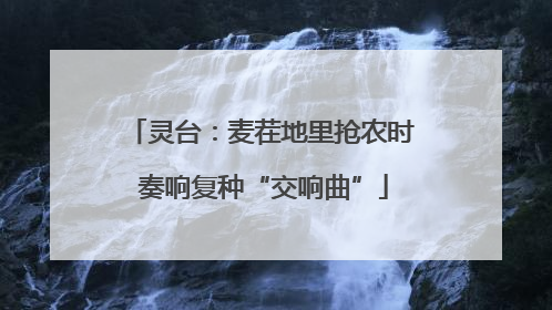 灵台：麦茬地里抢农时 奏响复种“交响曲”