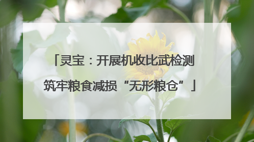 灵宝：开展机收比武检测 筑牢粮食减损“无形粮仓”