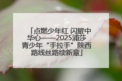 点燃少年红 闪耀中华心——2025浦莎青少年“手拉手”陕西路线丝路续新章