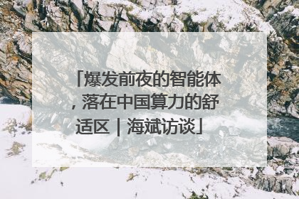 爆发前夜的智能体，落在中国算力的舒适区｜海斌访谈