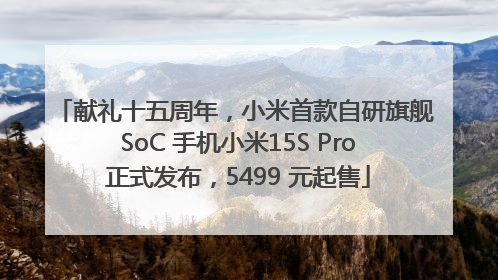 献礼十五周年，小米首款自研旗舰 SoC 手机小米15S Pro 正式发布，5499 元起售
