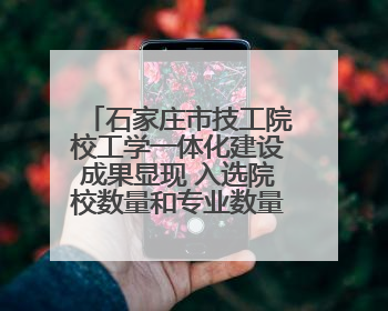 石家庄市技工院校工学一体化建设成果显现 入选院校数量和专业数量全省第一