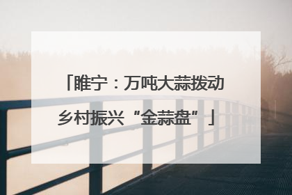睢宁：万吨大蒜拨动乡村振兴“金蒜盘”