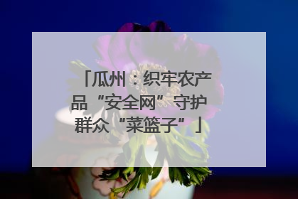 瓜州：织牢农产品“安全网”守护群众“菜篮子”