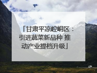 甘肃平凉崆峒区：引进蔬菜新品种 推动产业提档升级