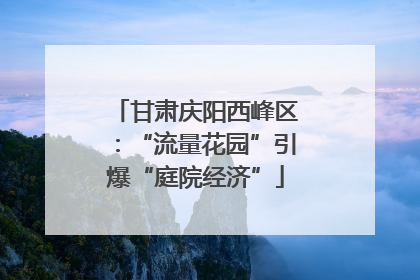 甘肃庆阳西峰区：“流量花园”引爆“庭院经济”