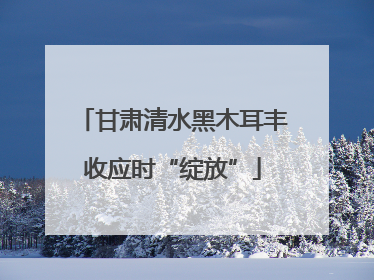 甘肃清水黑木耳丰收应时“绽放”