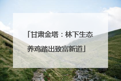 甘肃金塔：林下生态养鸡踏出致富新道