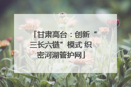 甘肃高台：创新“三长六链”模式 织密河湖管护网