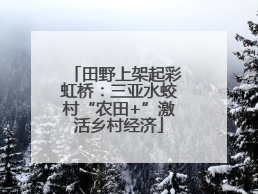 田野上架起彩虹桥：三亚水蛟村“农田+”激活乡村经济