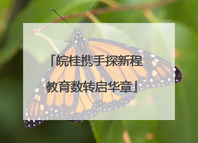 皖桂携手探新程 教育数转启华章