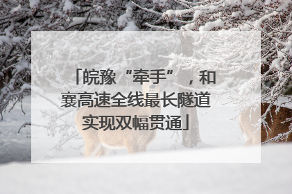 皖豫“牵手”，和襄高速全线最长隧道实现双幅贯通