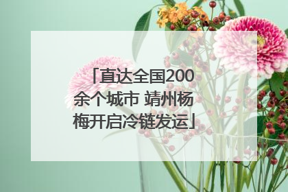 直达全国200余个城市 靖州杨梅开启冷链发运