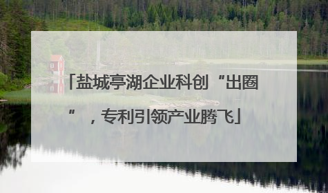 盐城亭湖企业科创“出圈”，专利引领产业腾飞