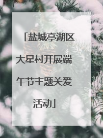 盐城亭湖区大星村开展端午节主题关爱活动