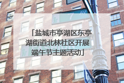 盐城市亭湖区东亭湖街道北林社区开展端午节主题活动