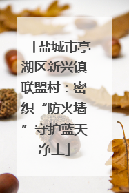 盐城市亭湖区新兴镇联盟村：密织“防火墙”守护蓝天净土