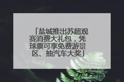 盐城推出苏超观赛消费大礼包，凭球票可享免费游景区、抽汽车大奖