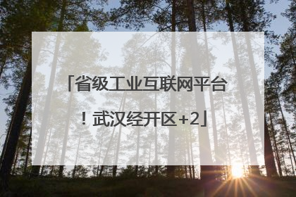 省级工业互联网平台！武汉经开区+2