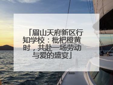 眉山天府新区行知学校：枇杷橙黄时，共赴一场劳动与爱的盛宴