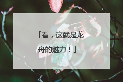 看，这就是龙舟的魅力！