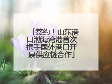 签约！山东港口渤海湾港首次携手国外港口开展供应链合作