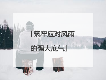 筑牢应对风雨的强大底气
