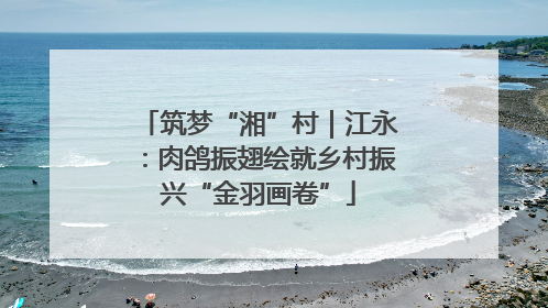 筑梦“湘”村｜江永：肉鸽振翅绘就乡村振兴“金羽画卷”