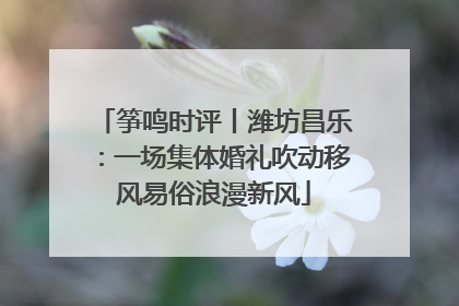 筝鸣时评丨潍坊昌乐：一场集体婚礼吹动移风易俗浪漫新风