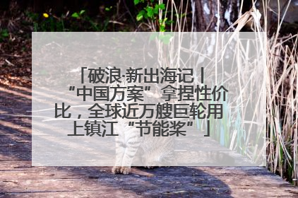 破浪·新出海记丨 “中国方案”拿捏性价比，全球近万艘巨轮用上镇江“节能桨”