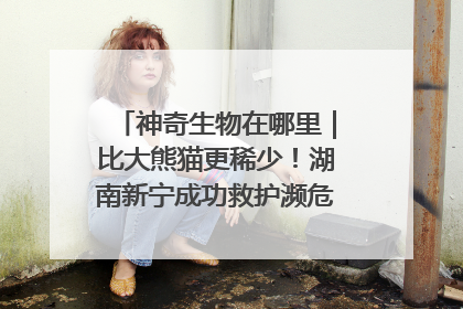 神奇生物在哪里｜比大熊猫更稀少！湖南新宁成功救护濒危鸟类海南鳽