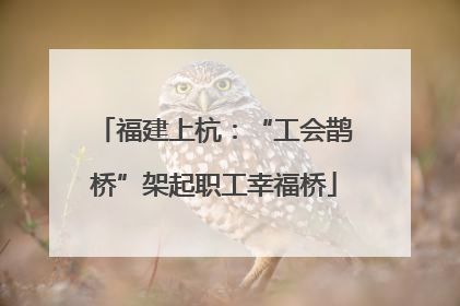 福建上杭：“工会鹊桥”架起职工幸福桥