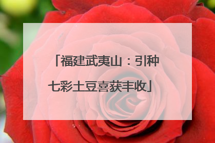 福建武夷山：引种七彩土豆喜获丰收