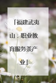 福建武夷山：职业教育服务茶产业
