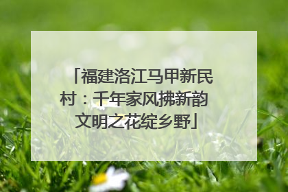 福建洛江马甲新民村：千年家风拂新韵 文明之花绽乡野