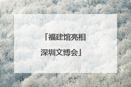 福建馆亮相深圳文博会