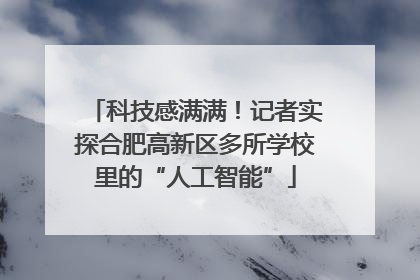 科技感满满！记者实探合肥高新区多所学校里的“人工智能”