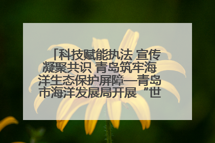 科技赋能执法 宣传凝聚共识 青岛筑牢海洋生态保护屏障—青岛市海洋发展局开展“世界海洋日”和“全国海洋宣传日”宣传活动