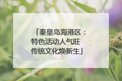 秦皇岛海港区：特色活动人气旺 传统文化焕新生