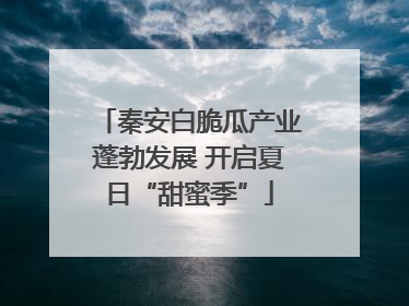 秦安白脆瓜产业蓬勃发展 开启夏日“甜蜜季”