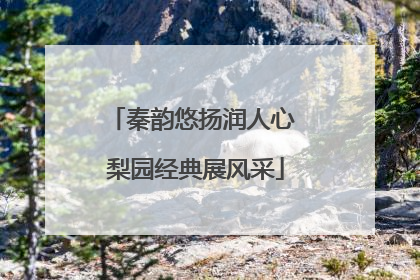 秦韵悠扬润人心 梨园经典展风采