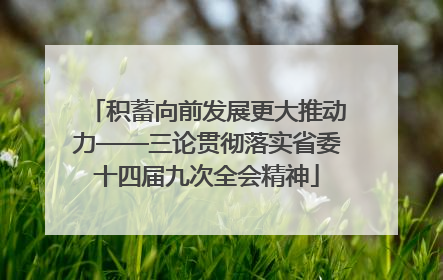 积蓄向前发展更大推动力——三论贯彻落实省委十四届九次全会精神