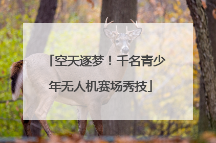 空天逐梦！千名青少年无人机赛场秀技