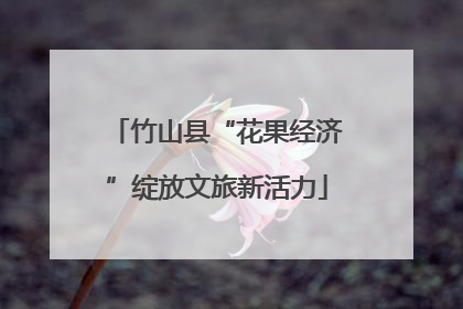 竹山县“花果经济”绽放文旅新活力