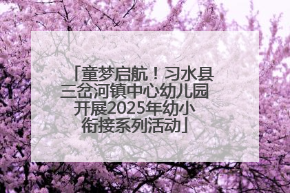 童梦启航！习水县三岔河镇中心幼儿园开展2025年幼小衔接系列活动