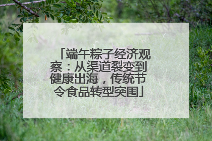 端午粽子经济观察：从渠道裂变到健康出海，传统节令食品转型突围