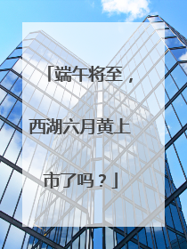 端午将至，西湖六月黄上市了吗？